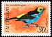 Paradise Tanager Tangara chilensis  1977 Birds 