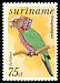 Red-fan Parrot Deroptyus accipitrinus  1977 Birds 