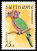 Red-fan Parrot Deroptyus accipitrinus