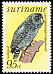 Black-banded Owl Strix huhula  1977 Birds 