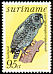 Black-banded Owl Strix huhula