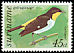 Yellow-backed Tanager Hemithraupis flavicollis  1977 Birds 