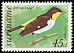 Yellow-backed Tanager Hemithraupis flavicollis