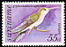 Grey-breasted Sabrewing Campylopterus largipennis  1977 Birds 