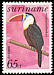 White-throated Toucan Ramphastos tucanus