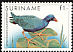 Purple Gallinule Porphyrio martinica  1985 Birds 