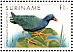 Purple Gallinule Porphyrio martinica  1985 Birds  MS