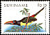 Green Aracari Pteroglossus viridis