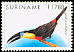 Channel-billed Toucan Ramphastos vitellinus
