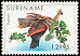 Hoatzin Opisthocomus hoazin  1995 Birds 