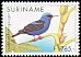 Red-legged Honeycreeper Cyanerpes cyaneus  1996 Birds 