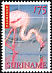 American Flamingo Phoenicopterus ruber