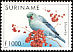 Blue-grey Tanager Thraupis episcopus  1999 Birds 