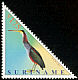 Agami Heron Agamia agami  2001 Birds 