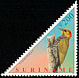 Yellow-throated Woodpecker Piculus flavigula  2001 Birds 