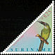 Tepui Toucanet Aulacorhynchus whitelianus  2001 Birds 