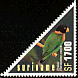 Caica Parrot Pyrilia caica  2002 Birds 