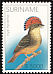 Amazonian Royal Flycatcher Onychorhynchus coronatus  2002 Birds 