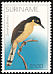 Black-capped Donacobius Donacobius atricapilla  2002 Birds 