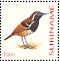 Ferruginous-backed Antbird Myrmoderus ferrugineus  2003 Birds Sheet