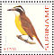 Lesser Kiskadee Philohydor lictor