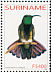Green-throated Mango Anthracothorax viridigula  2003 Birds 