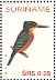 Green-and-rufous Kingfisher Chloroceryle inda