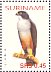 Rufous-thighed Kite Harpagus diodon  2004 Birds Sheet