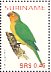 Brown-throated Parakeet Eupsittula pertinax  2004 Birds Sheet