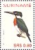 Amazon Kingfisher Chloroceryle amazona  2004 Birds Sheet