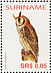 Striped Owl Asio clamator