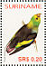 Lilac-tailed Parrotlet Touit batavicus  2005 Birds Sheet