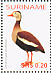 Black-bellied Whistling Duck Dendrocygna autumnalis  2005 Birds Sheet