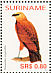 Black-collared Hawk Busarellus nigricollis  2005 Birds Sheet