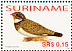 Nacunda Nighthawk Chordeiles nacunda  2006 Birds Sheet