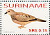 Common Ground Dove Columbina passerina  2006 Birds Sheet