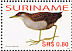 Ash-throated Crake Mustelirallus albicollis  2006 Birds Sheet