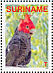 Gang-gang Cockatoo Callocephalon fimbriatum