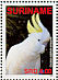 Sulphur-crested Cockatoo Cacatua galerita  2007 Cockatoos Sheet