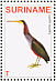 Agami Heron Agamia agami  2007 Birds Sheet