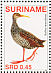 Spotted Rail Pardirallus maculatus  2007 Birds Sheet