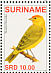 Saffron Finch Sicalis flaveola  2007 Birds Sheet