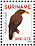 Green Oropendola Psarocolius viridis  2008 Birds 