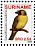Yellow-green Grosbeak Caryothraustes canadensis  2008 Birds 