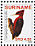 Red-necked Woodpecker Campephilus rubricollis