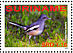 Oriental Magpie-Robin Copsychus saularis  2008 Birds Sheet