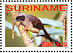 Masked Laughingthrush Pterorhinus perspicillatus  2008 Birds Sheet