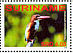 White-throated Kingfisher Halcyon smyrnensis  2008 Birds Sheet
