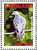 Oriental Turtle Dove Streptopelia orientalis  2009 Turtle Dove  MS