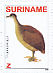 Great Tinamou Tinamus major  2009 Birds Sheet